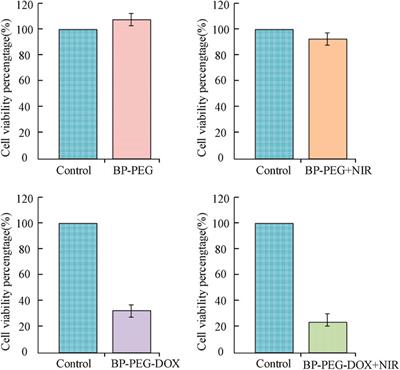 The application of drug loading and drug release characteristics of two-dimensional nanocarriers for targeted treatment of leukemia